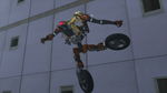 snapshot20090120051851.jpg